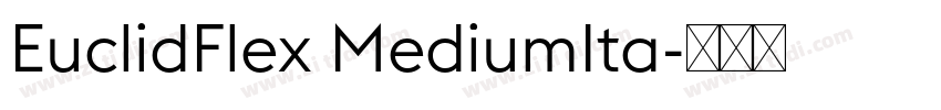 EuclidFlex MediumIta字体转换